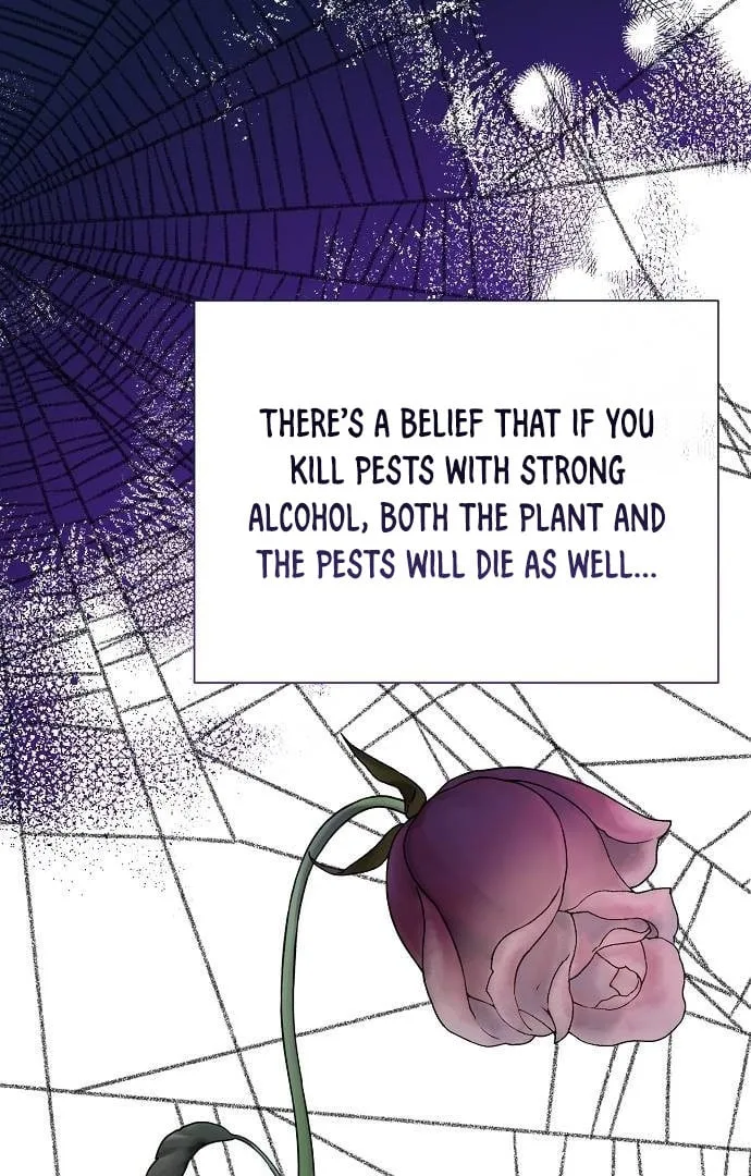 Until the Real One Shows Up Chapter 33 page 65