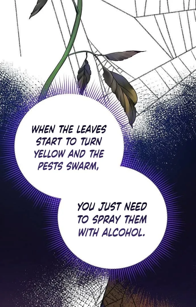 Until the Real One Shows Up Chapter 33 page 66