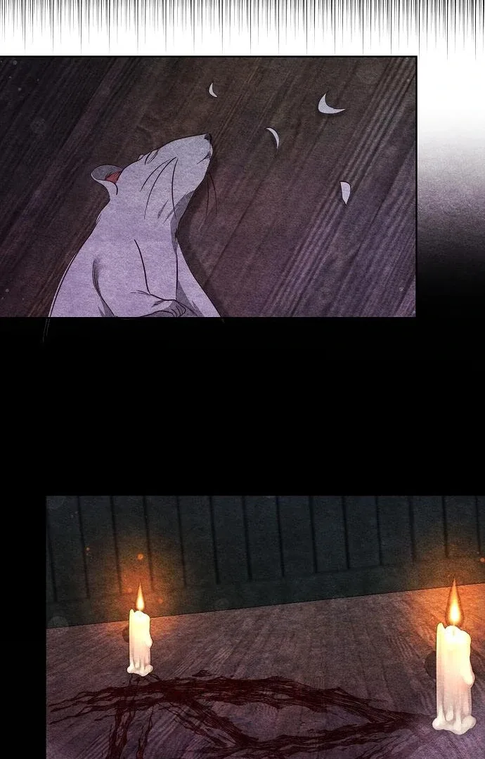 Until the Real One Shows Up Chapter 78 page 81