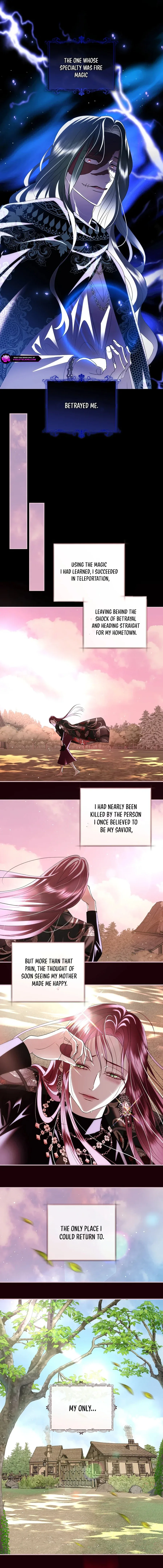 Villain, I’ll Do Everything Except Marriage for You! Chapter 33 page 12