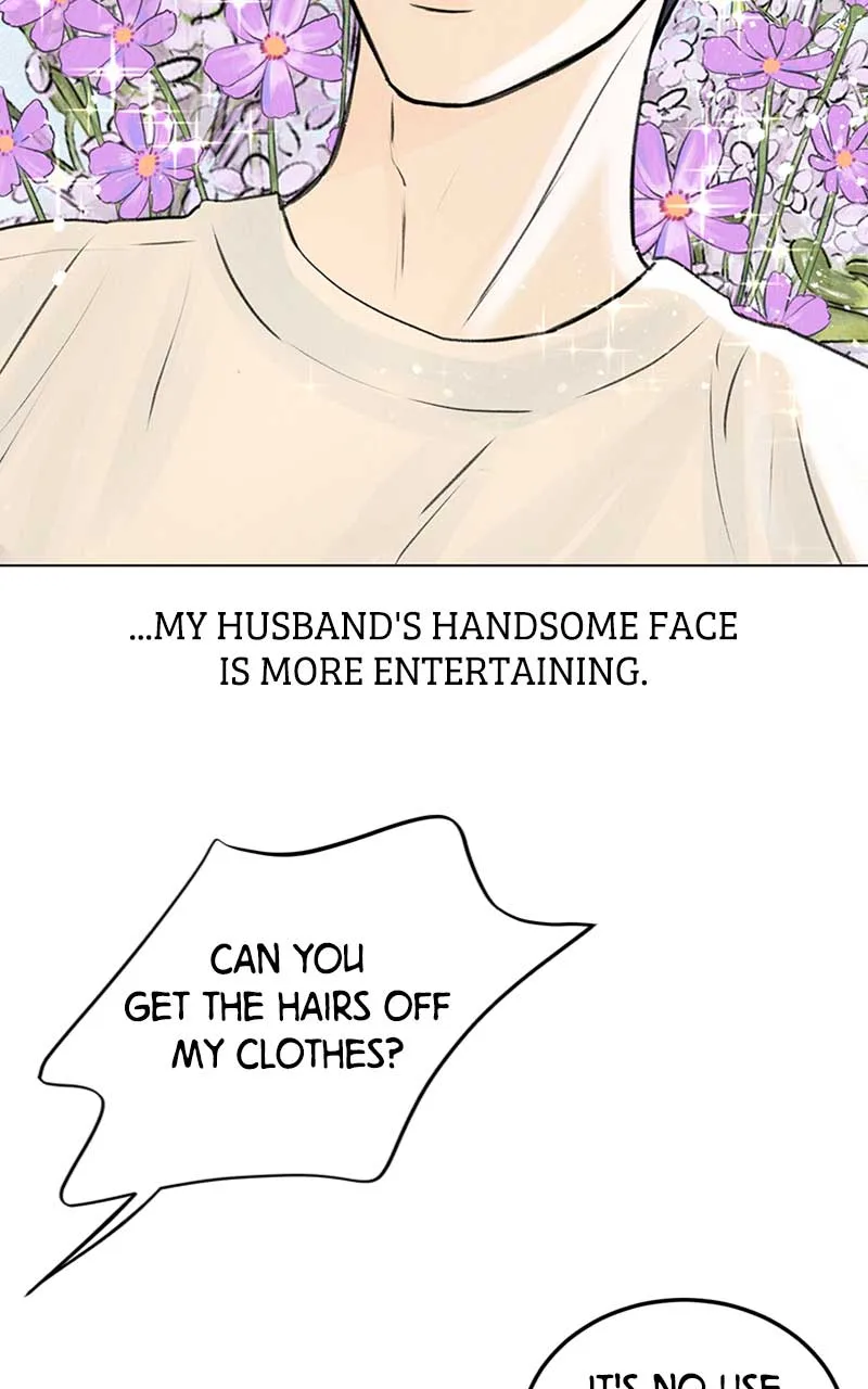 Want to See My Cat? Chapter 1 page 6