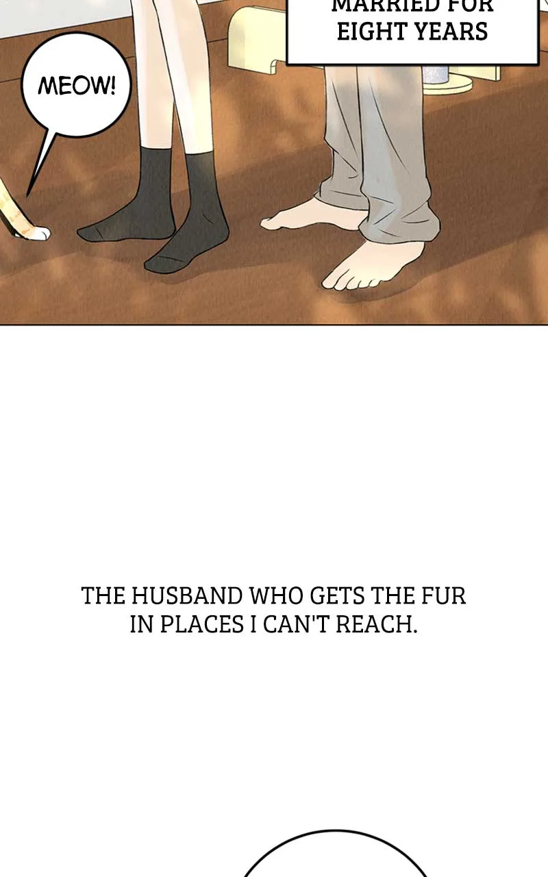 Want to See My Cat? Chapter 1 page 8