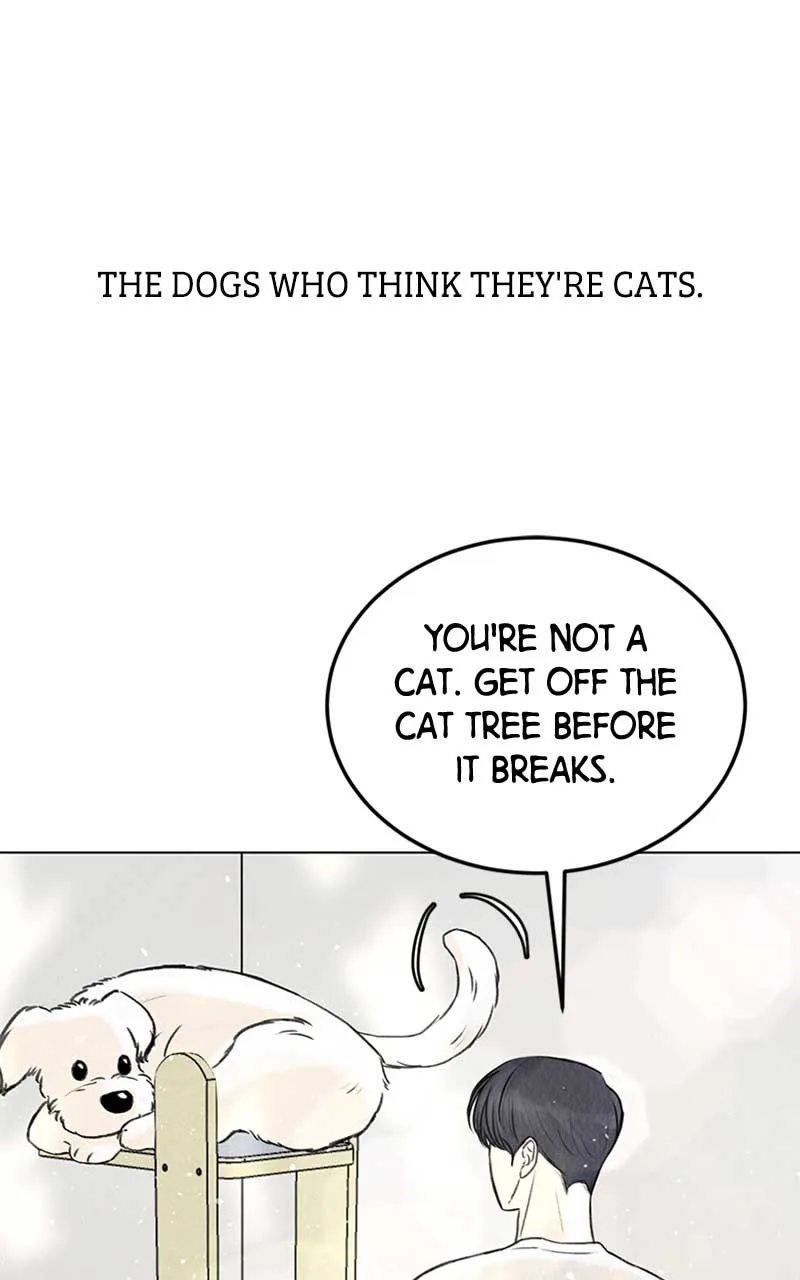 Want to See My Cat? Chapter 1 page 13
