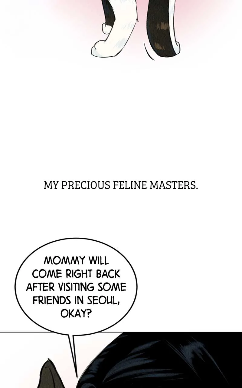 Want to See My Cat? Chapter 1 page 11