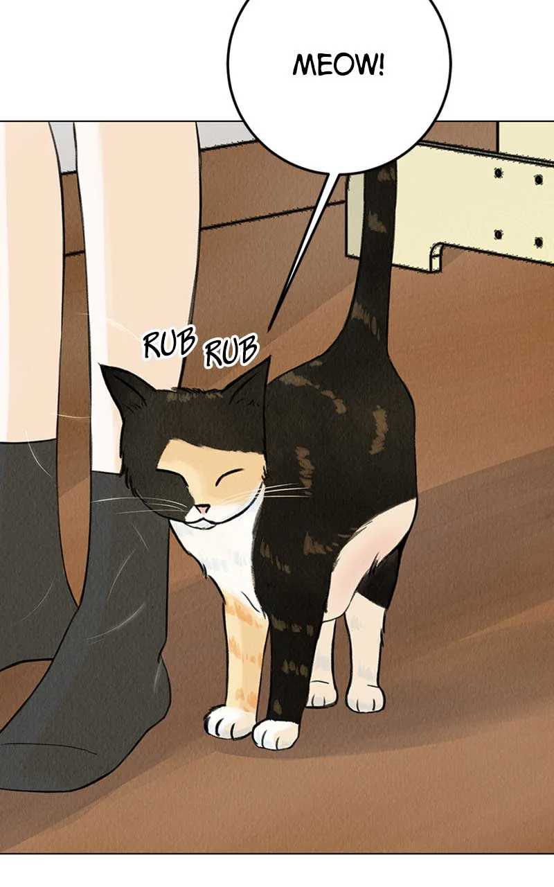 Want to See My Cat? Chapter 1 page 9