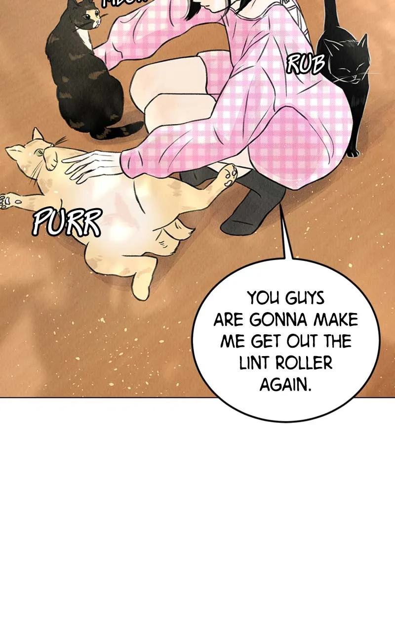 Want to See My Cat? Chapter 1 page 15