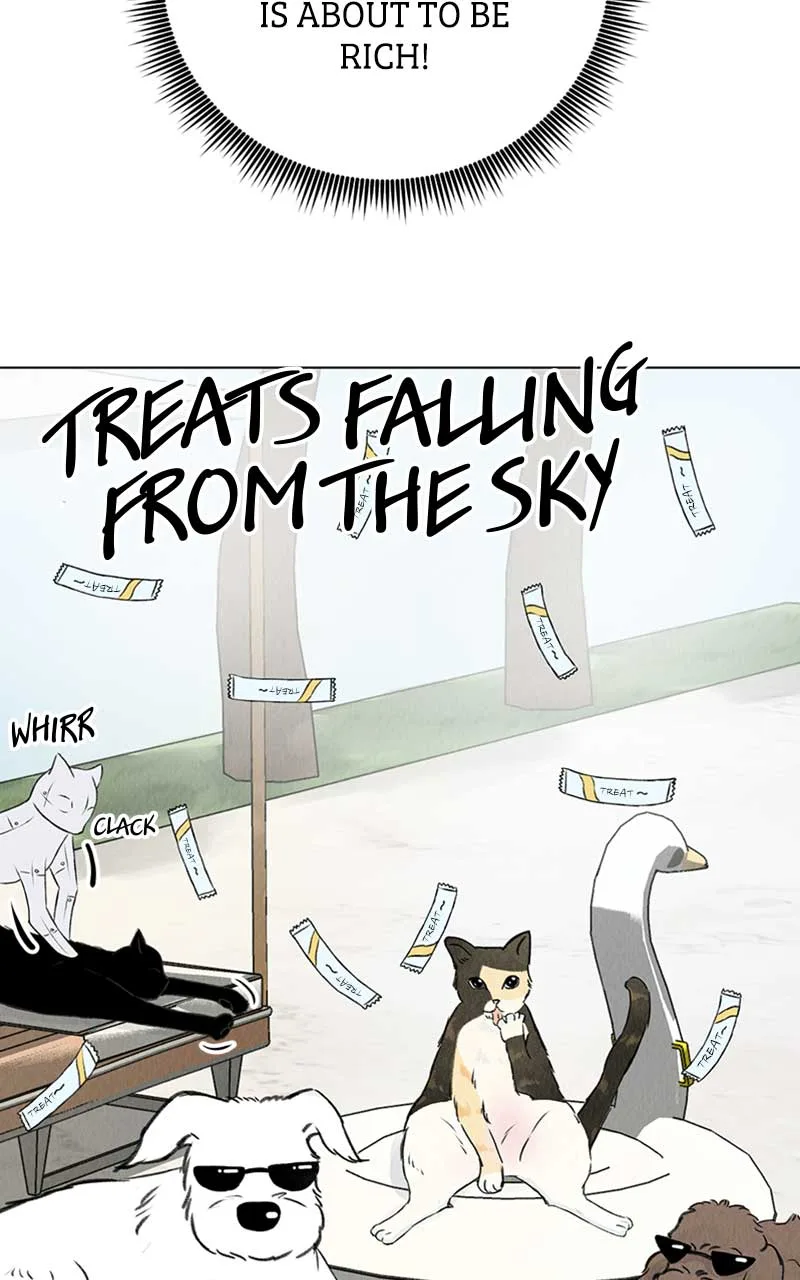 Want to See My Cat? Chapter 1 page 111