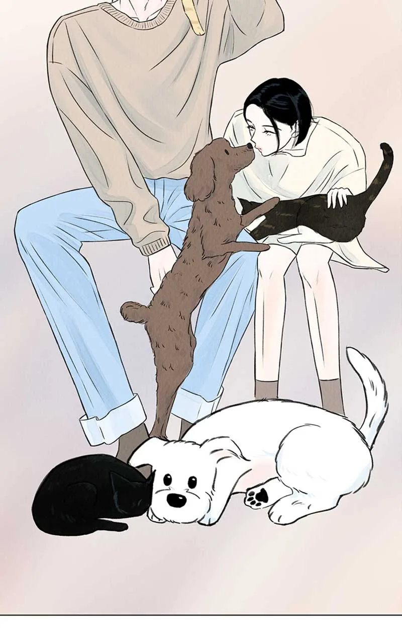 Want to See My Cat? Chapter 1 page 66