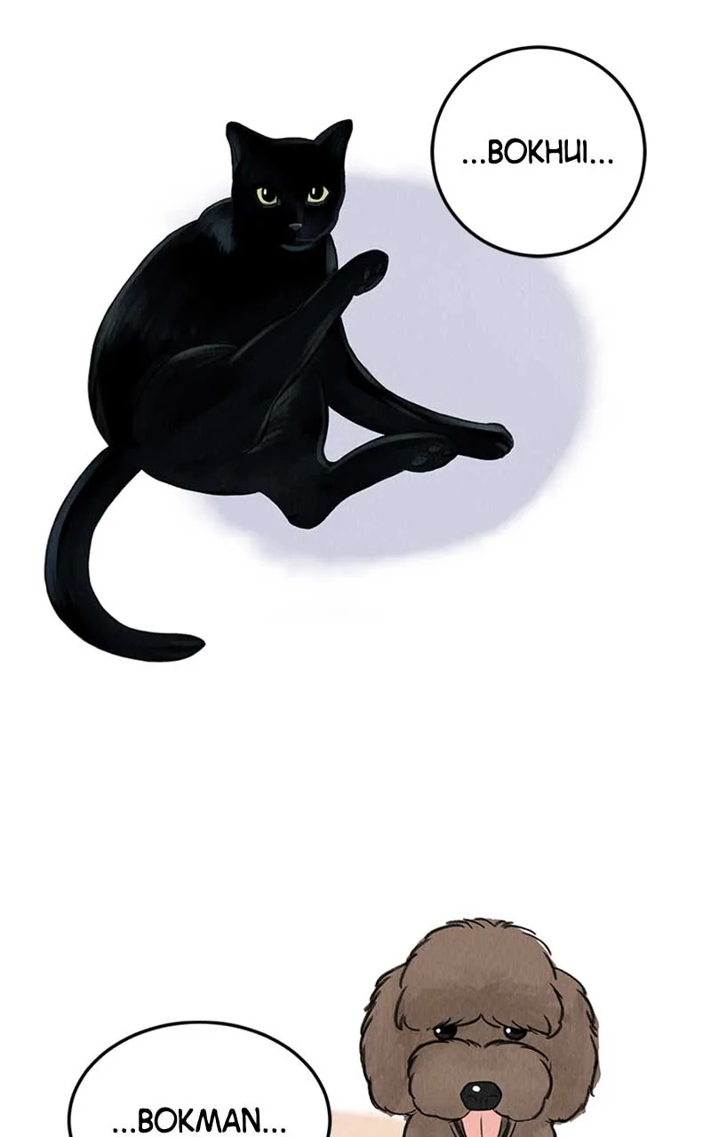 Want to See My Cat? Chapter 1 page 64
