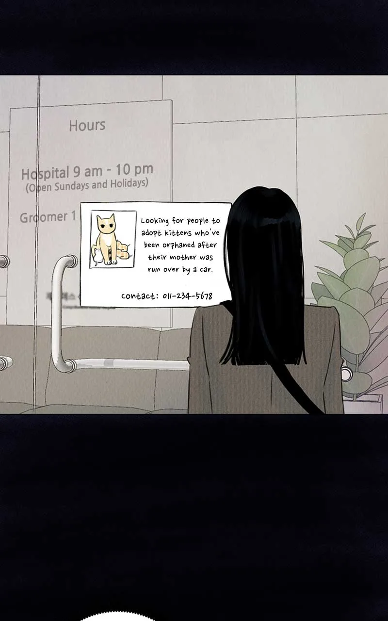 Want to See My Cat? Chapter 1 page 116