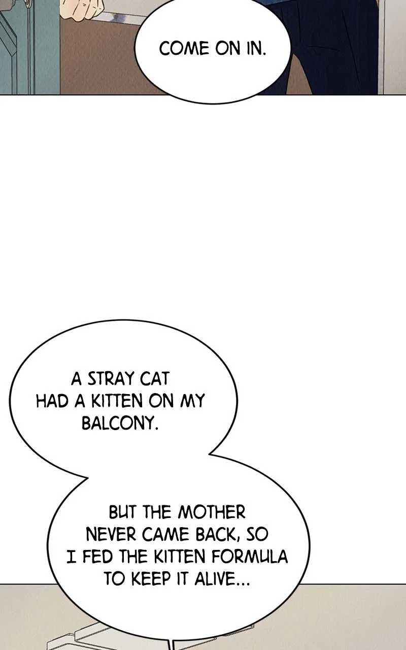 Want to See My Cat? Chapter 1 page 143