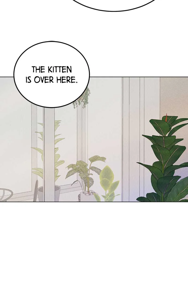 Want to See My Cat? Chapter 1 page 145