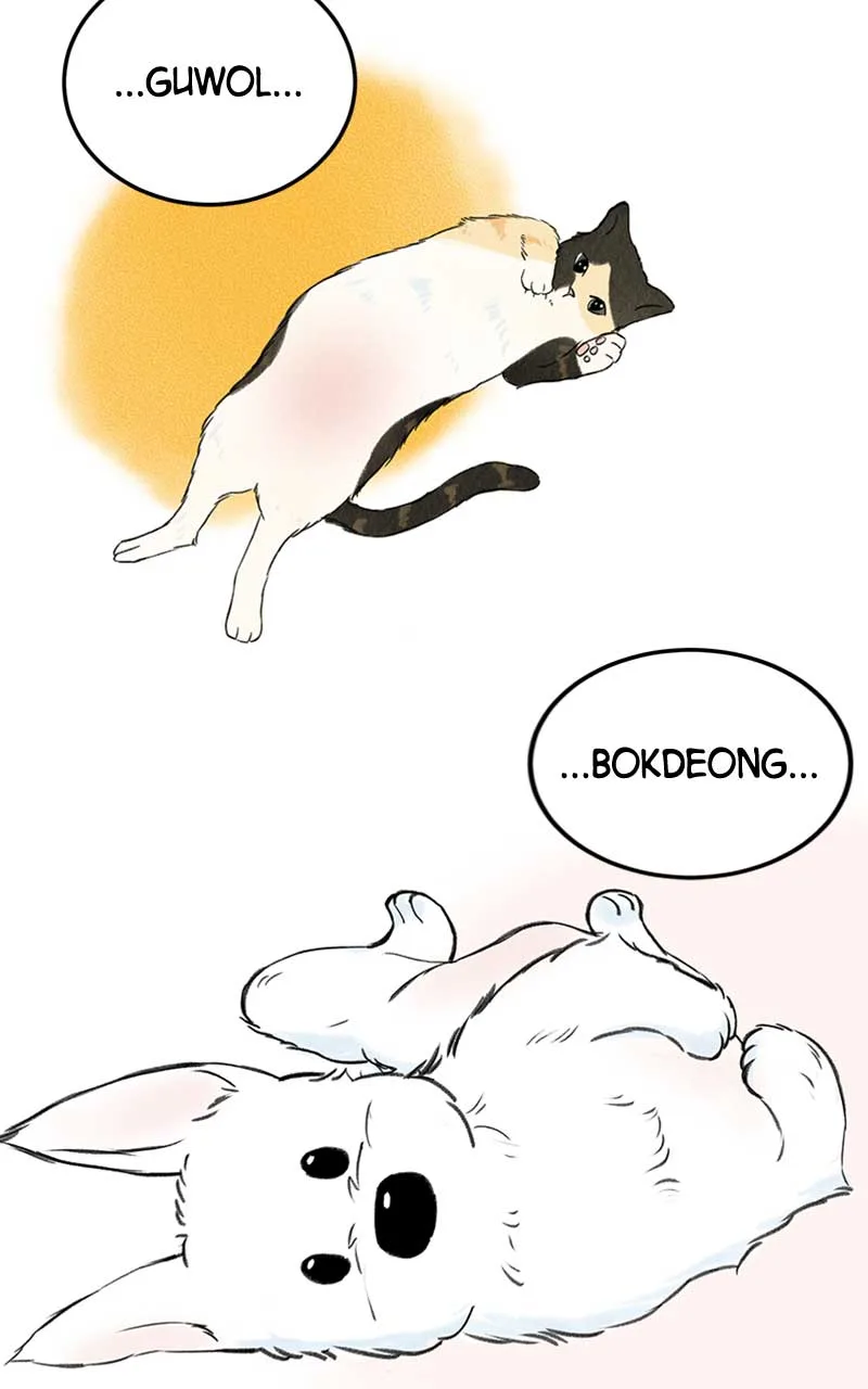 Want to See My Cat? Chapter 1 page 62