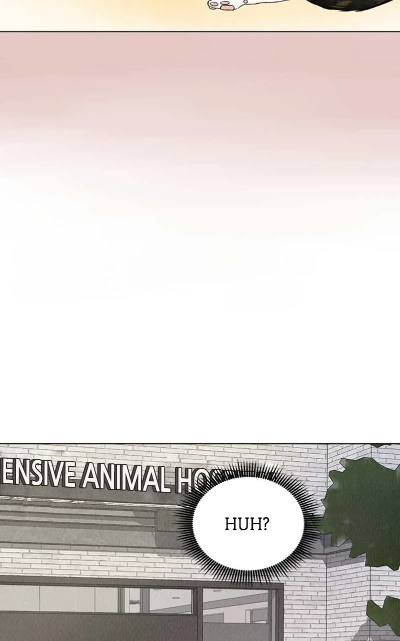 Want to See My Cat? Chapter 1 page 125