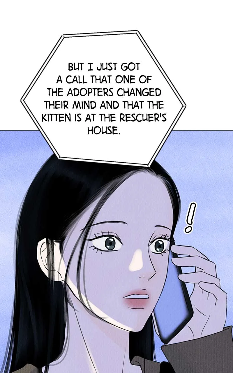 Want to See My Cat? Chapter 1 page 133
