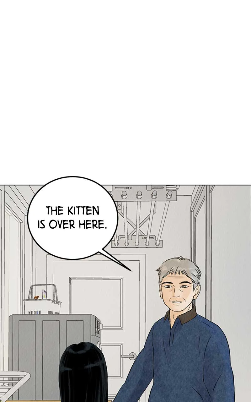 Want to See My Cat? Chapter 2 page 2