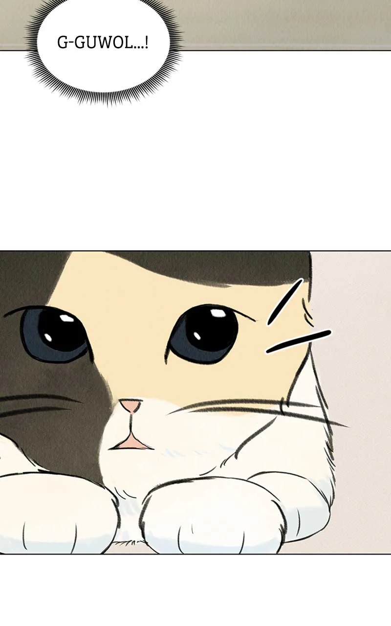 Want to See My Cat? Chapter 2 page 5