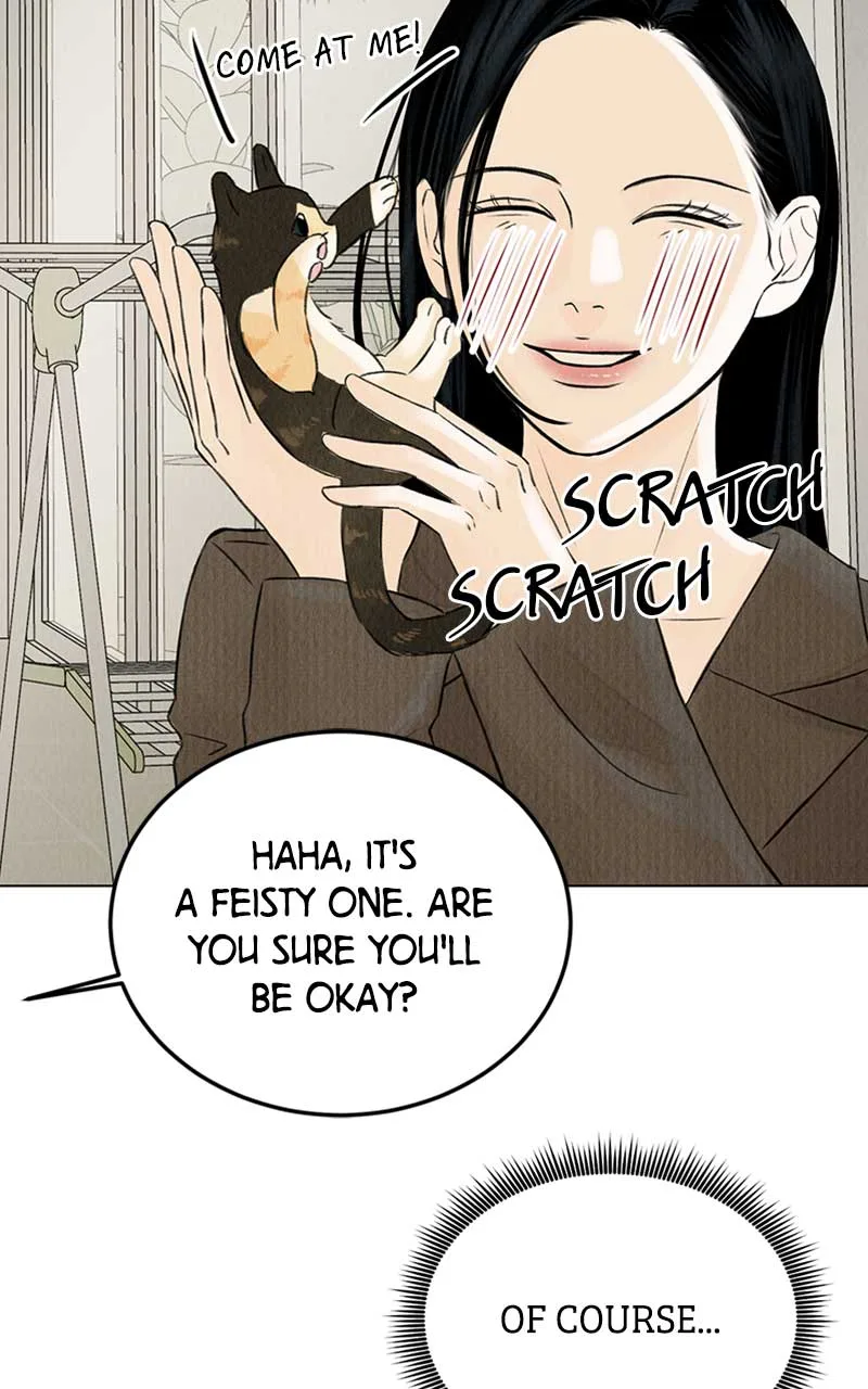 Want to See My Cat? Chapter 2 page 10