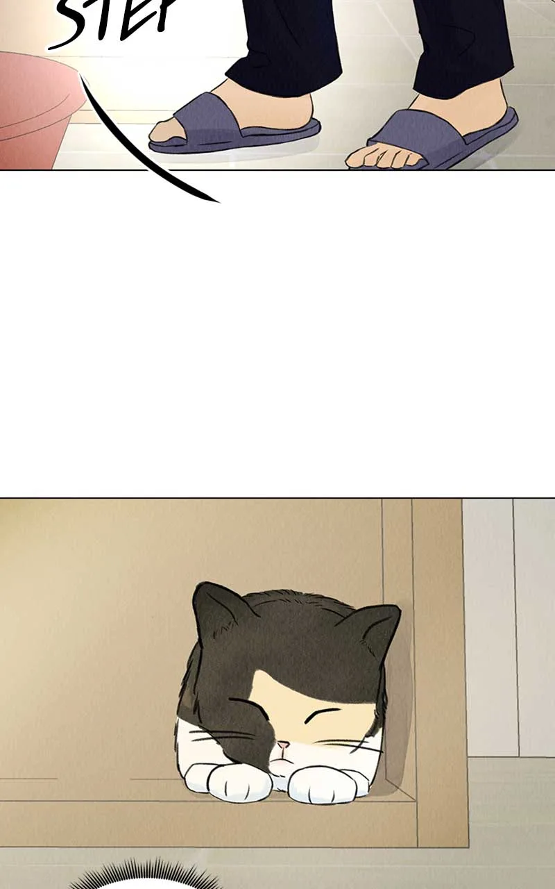 Want to See My Cat? Chapter 2 page 4
