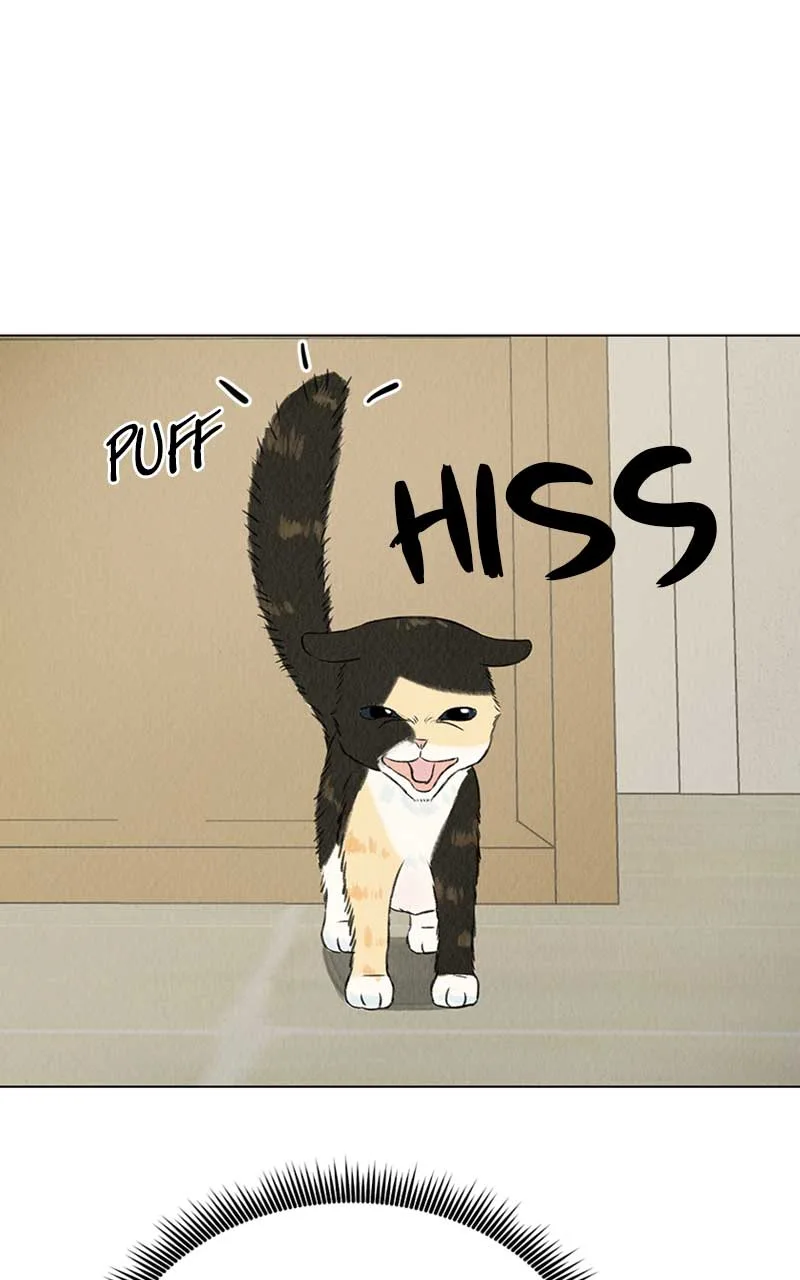 Want to See My Cat? Chapter 2 page 6