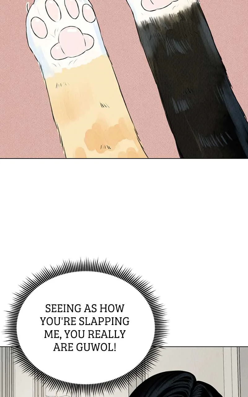 Want to See My Cat? Chapter 2 page 9