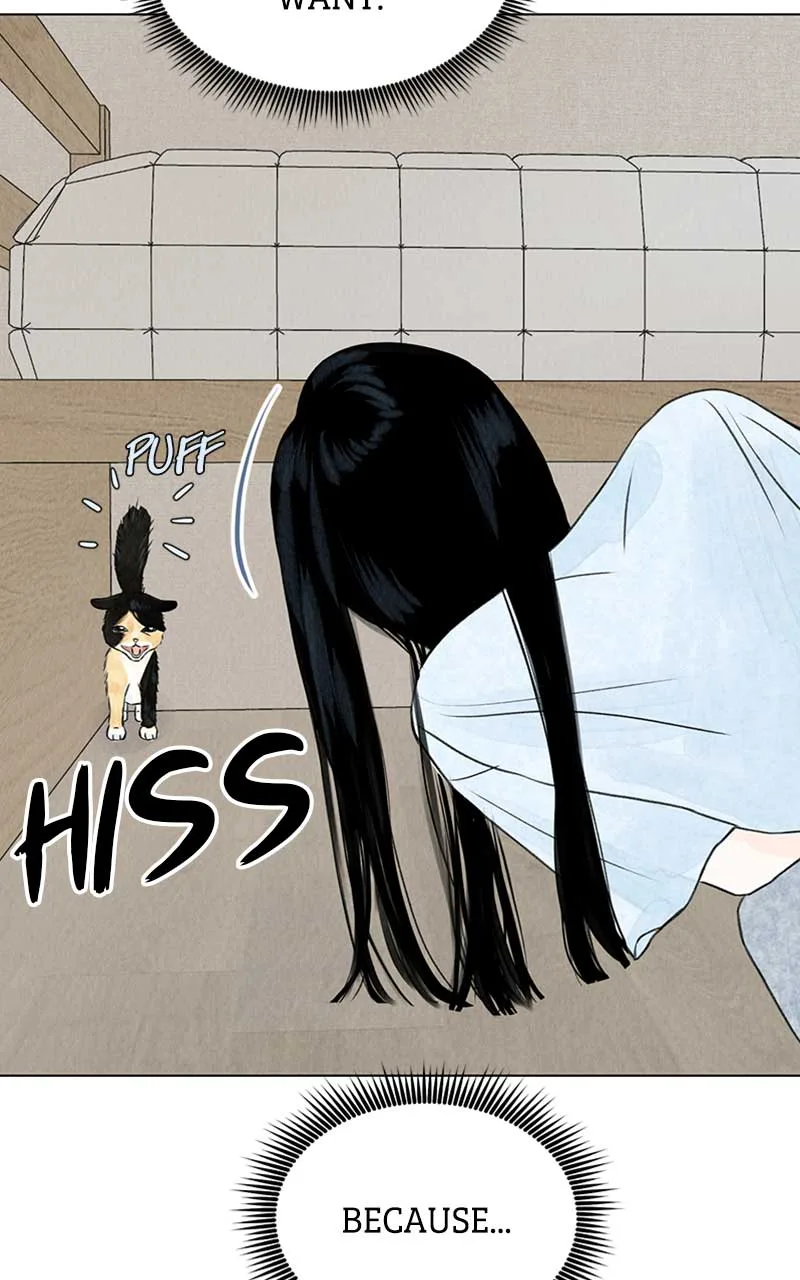Want to See My Cat? Chapter 2 page 25