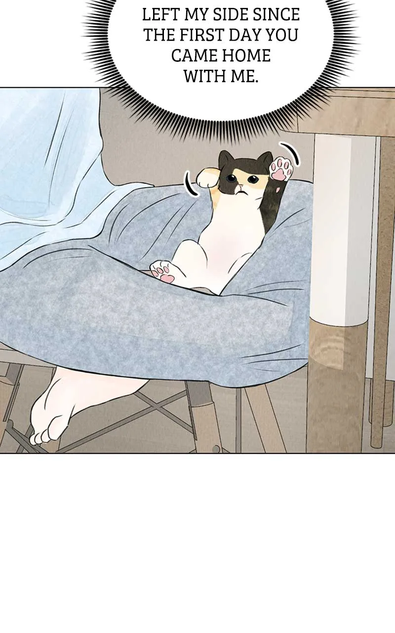 Want to See My Cat? Chapter 2 page 28