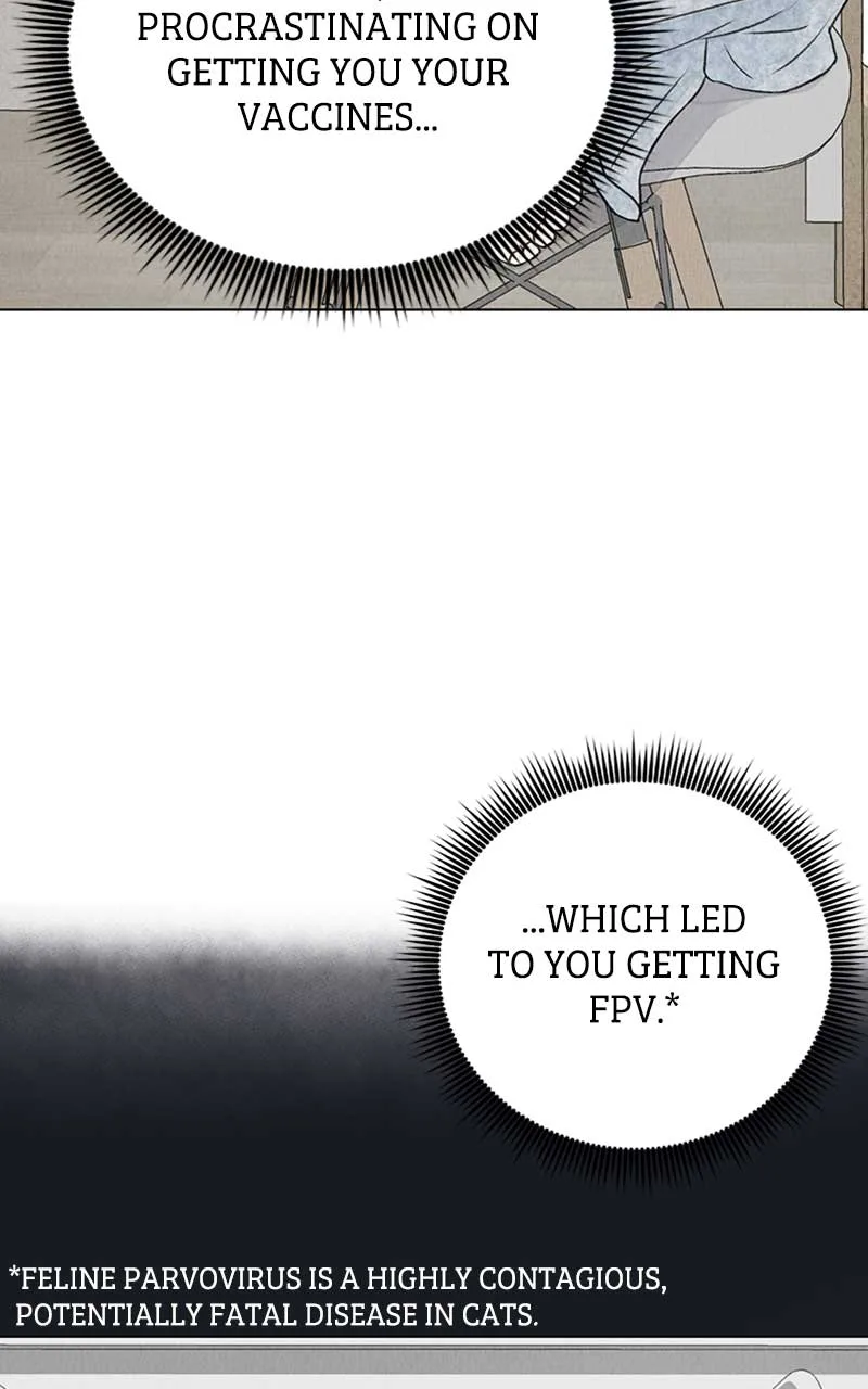 Want to See My Cat? Chapter 2 page 30