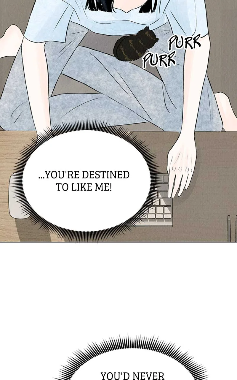 Want to See My Cat? Chapter 2 page 27