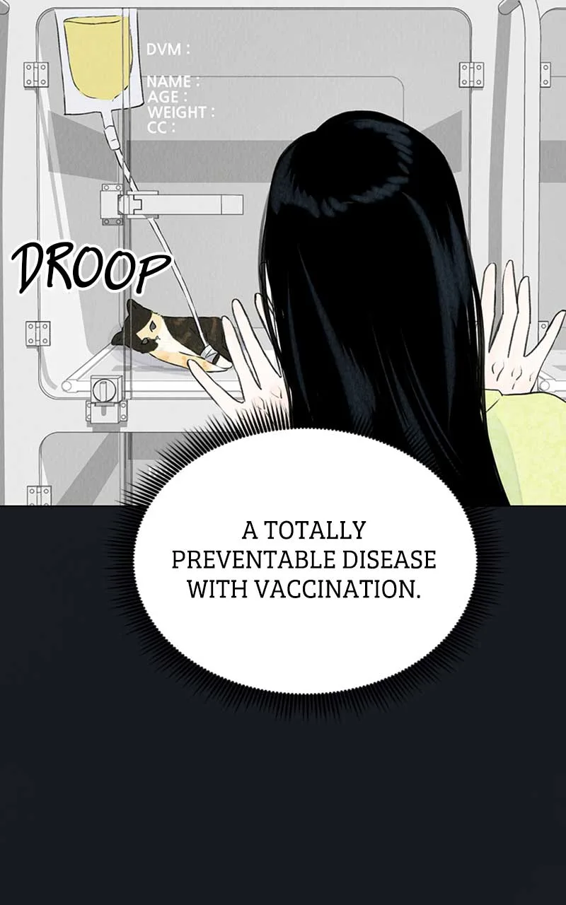 Want to See My Cat? Chapter 2 page 31