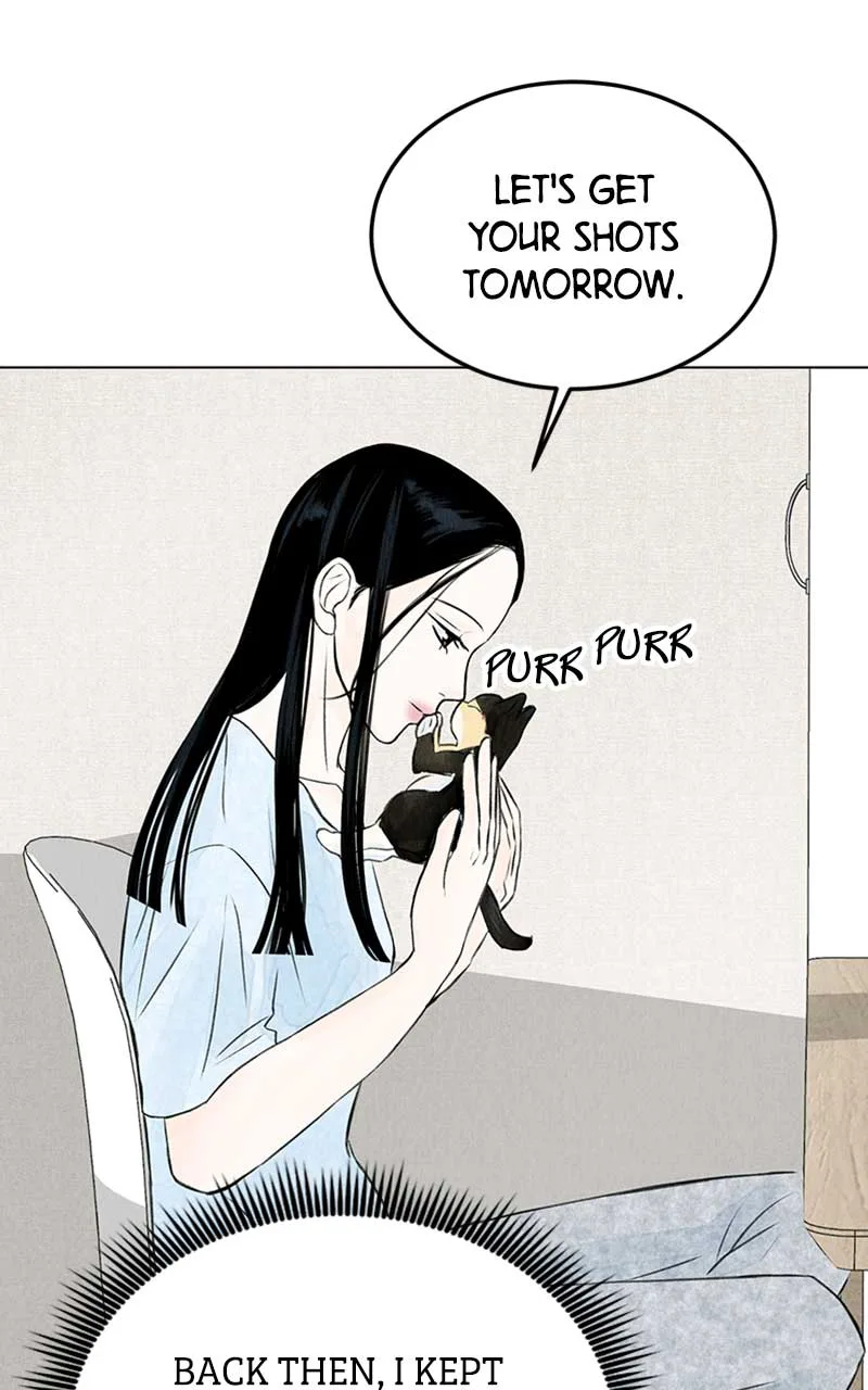 Want to See My Cat? Chapter 2 page 29