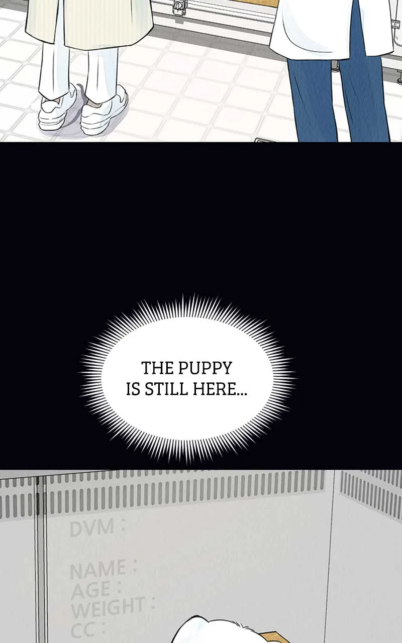 Want to See My Cat? Chapter 2 page 48