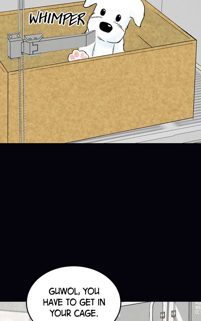 Want to See My Cat? Chapter 2 page 49