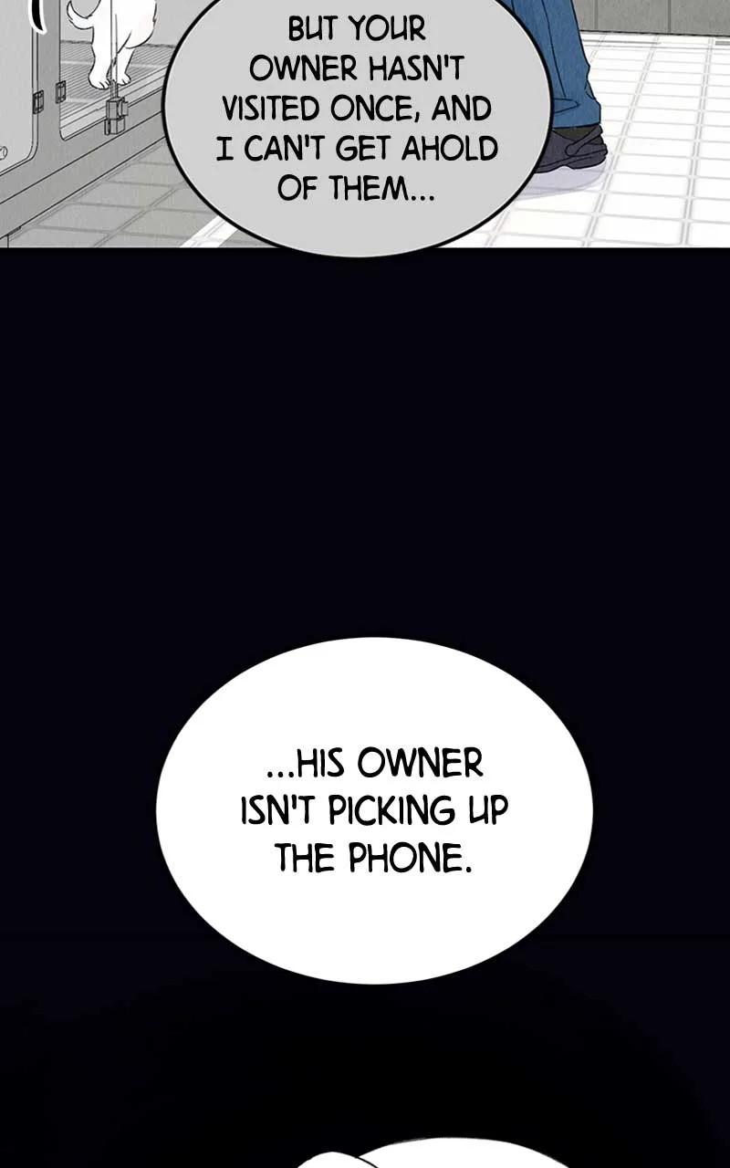 Want to See My Cat? Chapter 2 page 41