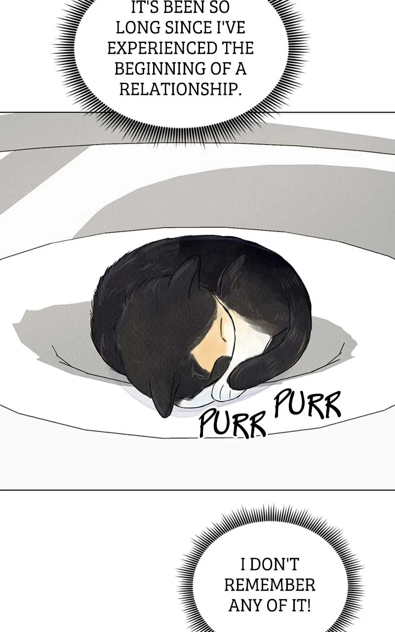 Want to See My Cat? Chapter 3 page 5