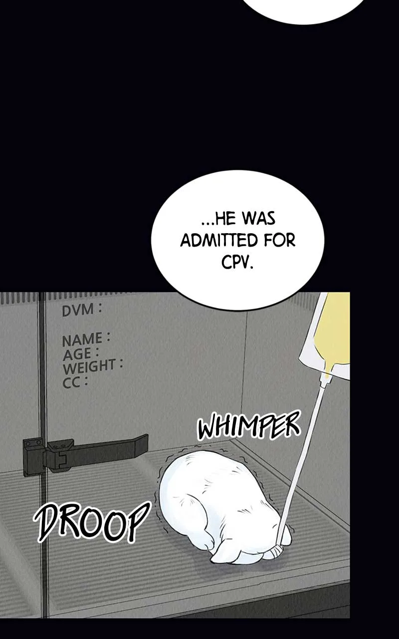 Want to See My Cat? Chapter 2 page 39