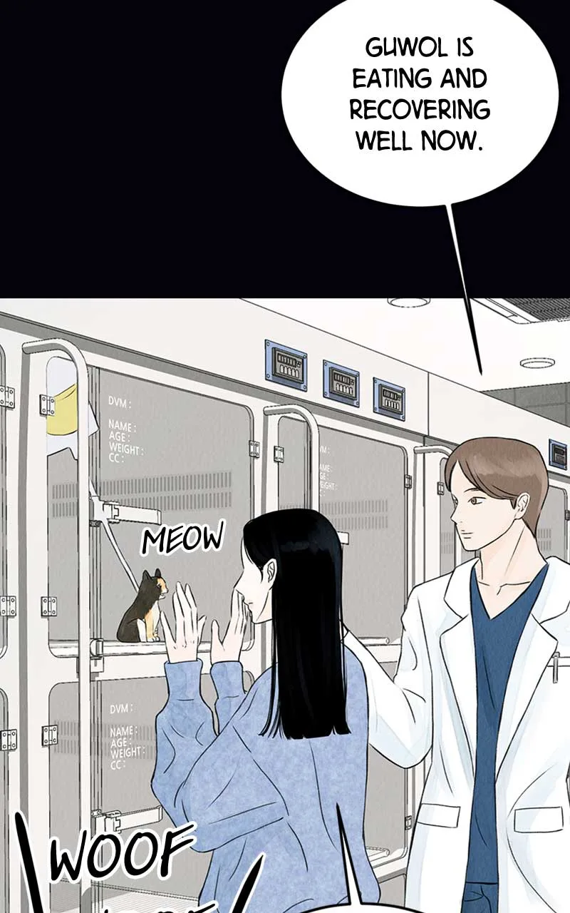 Want to See My Cat? Chapter 2 page 37
