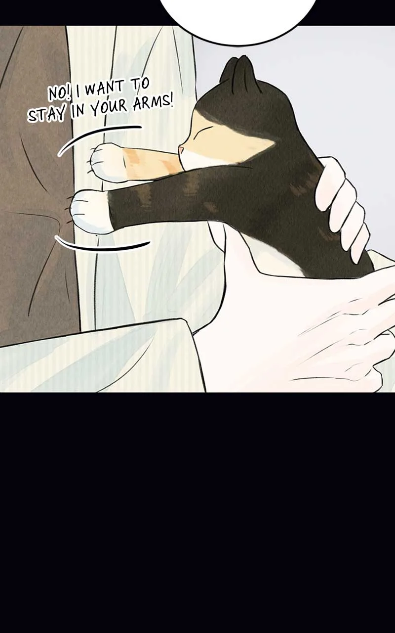 Want to See My Cat? Chapter 2 page 51