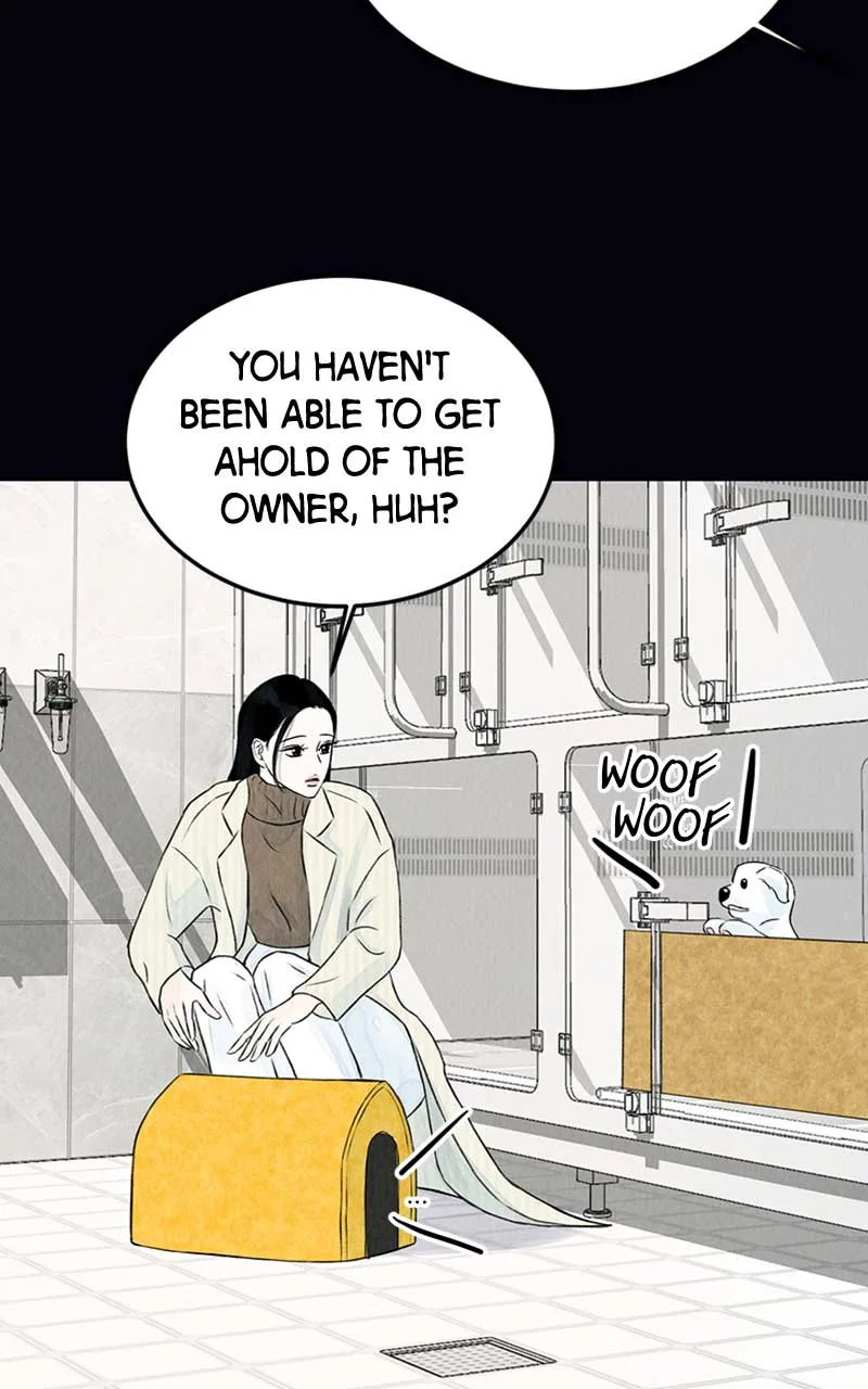 Want to See My Cat? Chapter 2 page 53