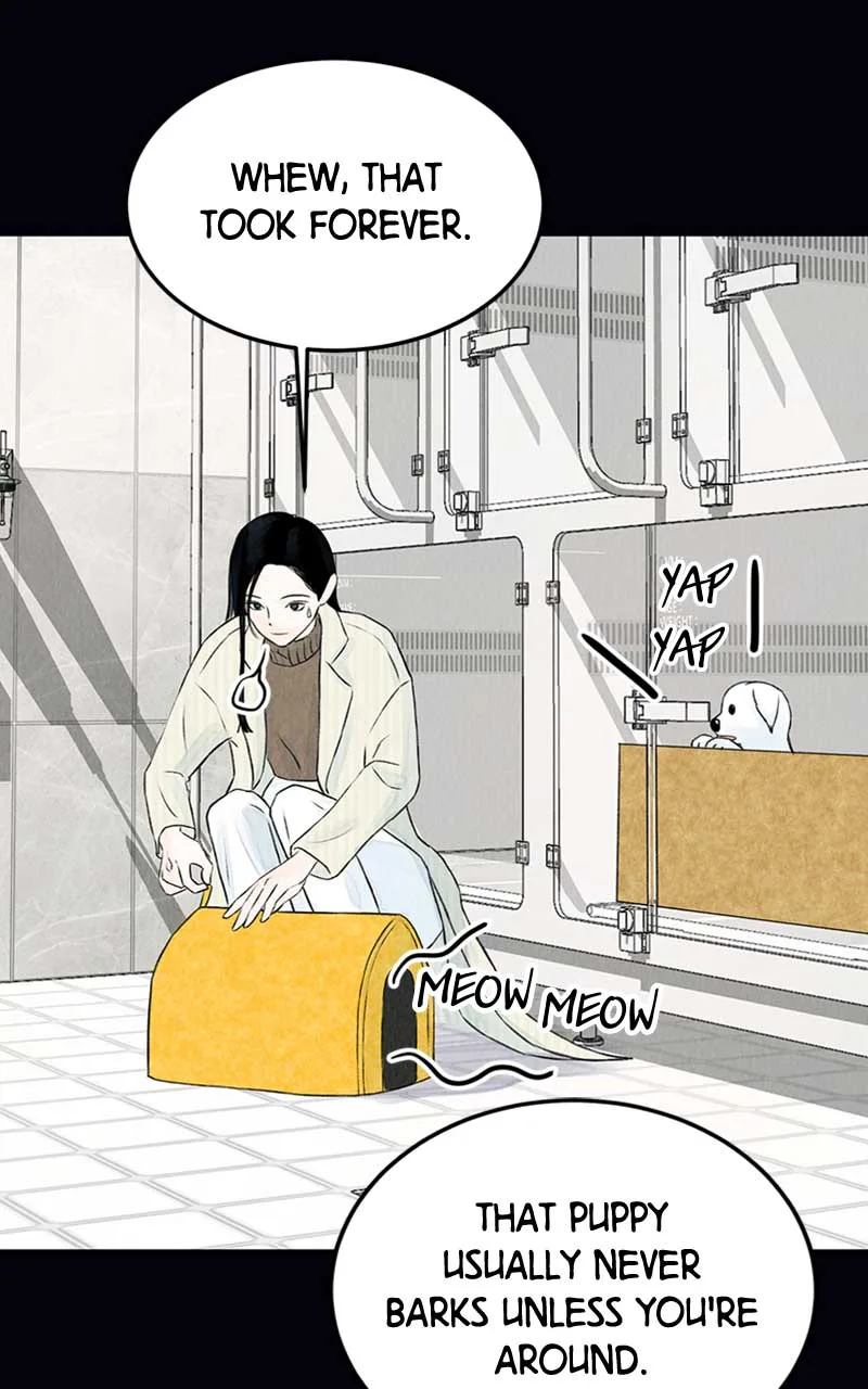 Want to See My Cat? Chapter 2 page 52
