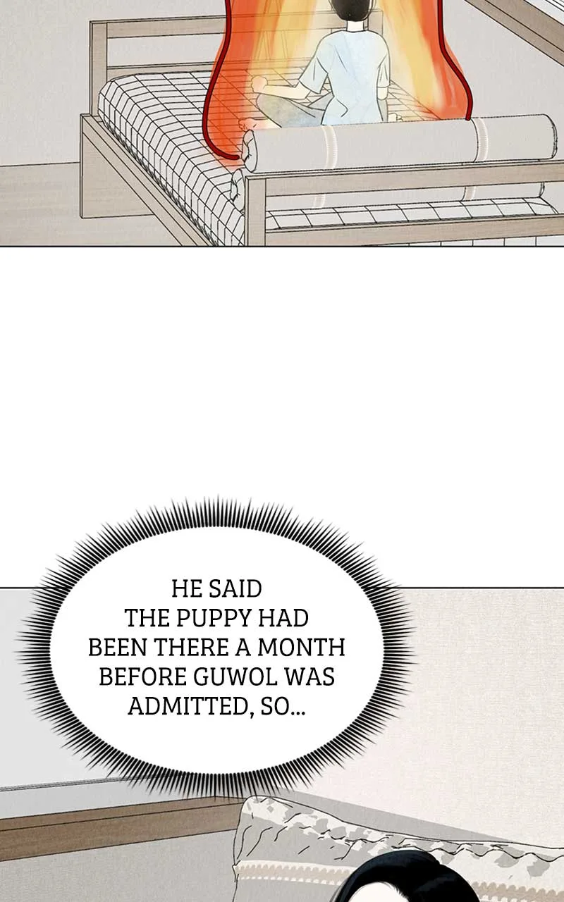 Want to See My Cat? Chapter 2 page 61