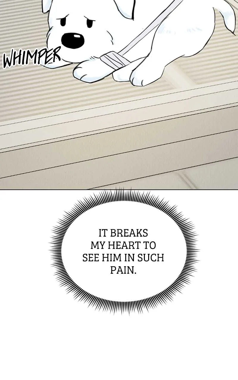 Want to See My Cat? Chapter 3 page 88