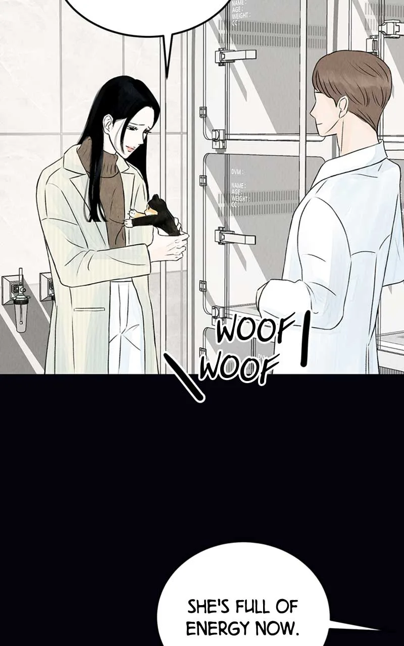 Want to See My Cat? Chapter 2 page 50