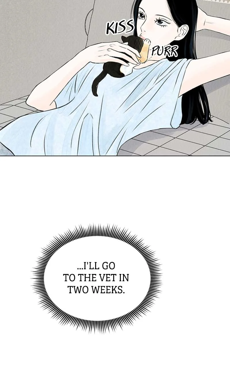Want to See My Cat? Chapter 2 page 62