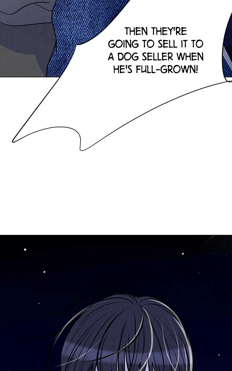 Want to See My Cat? Chapter 5 page 31