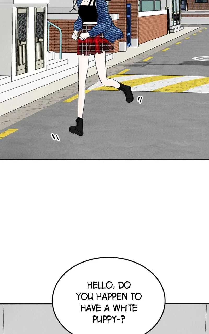 Want to See My Cat? Chapter 5 page 5