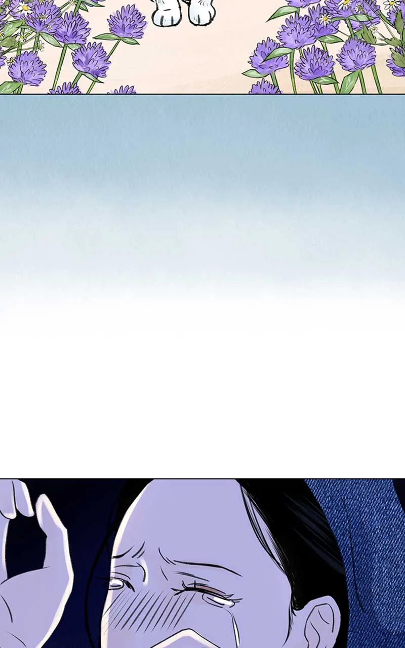Want to See My Cat? Chapter 5 page 43