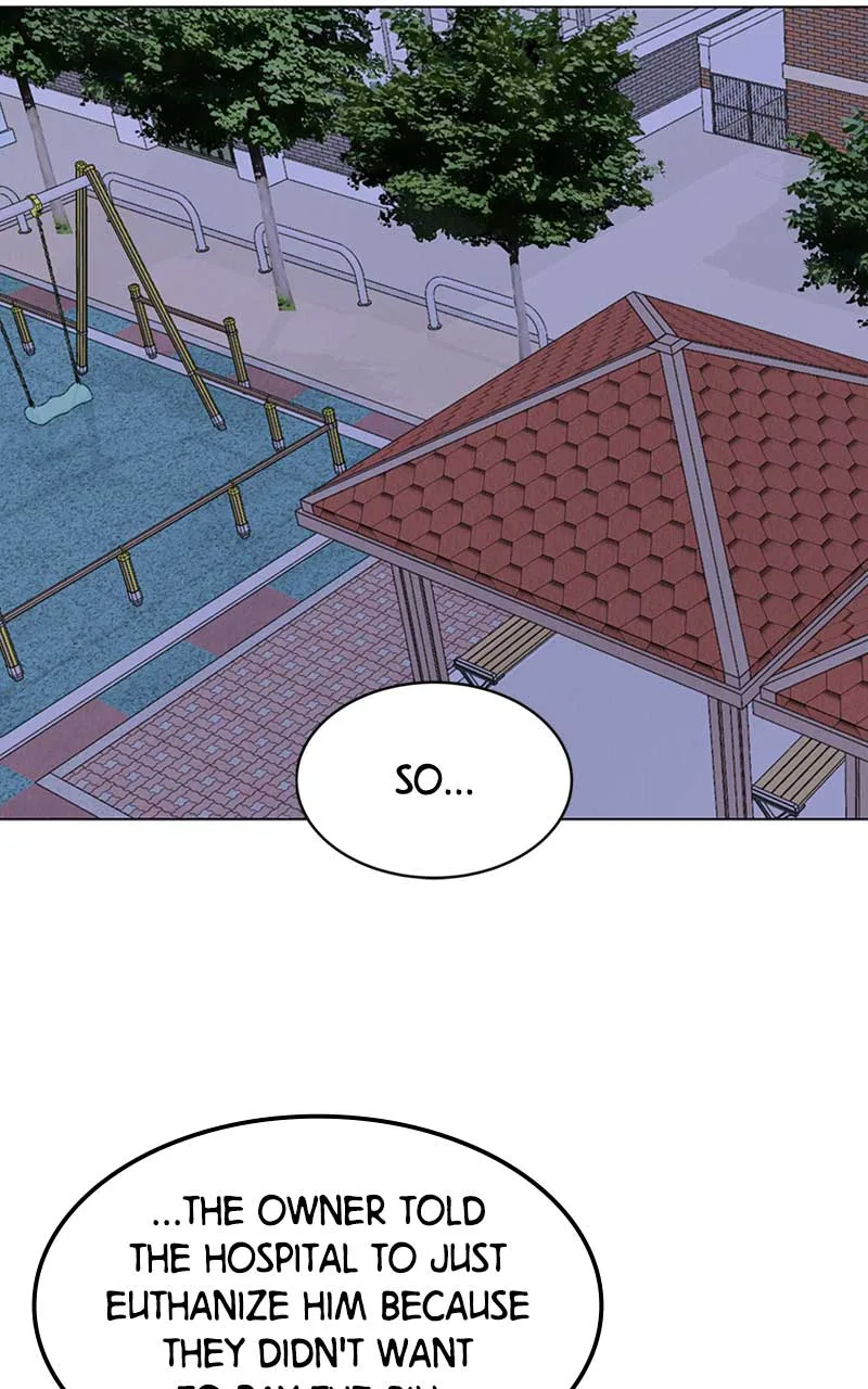 Want to See My Cat? Chapter 5 page 48