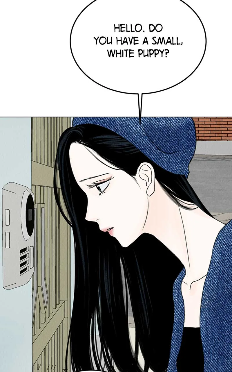 Want to See My Cat? Chapter 5 page 3