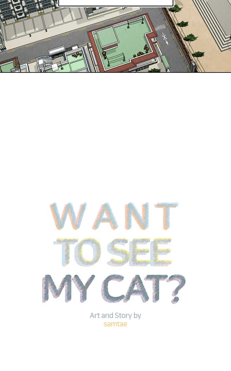 Want to See My Cat? Chapter 6 page 3